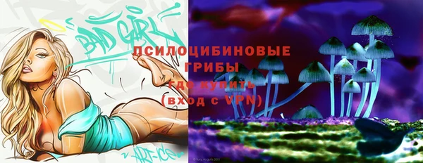 соль ск Заводоуковск