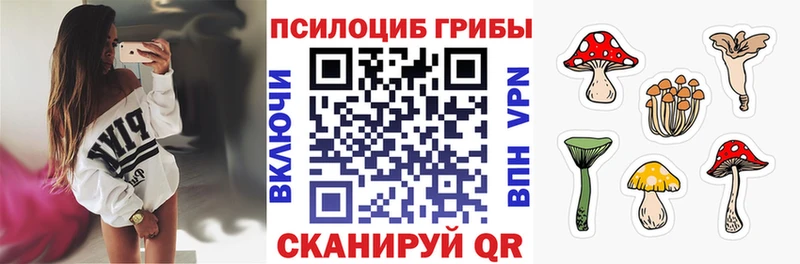 Псилоцибиновые грибы Cubensis  Сосногорск 
